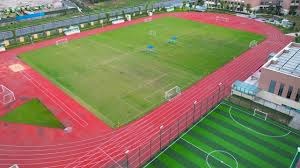 世界12强赛为何更考验深度